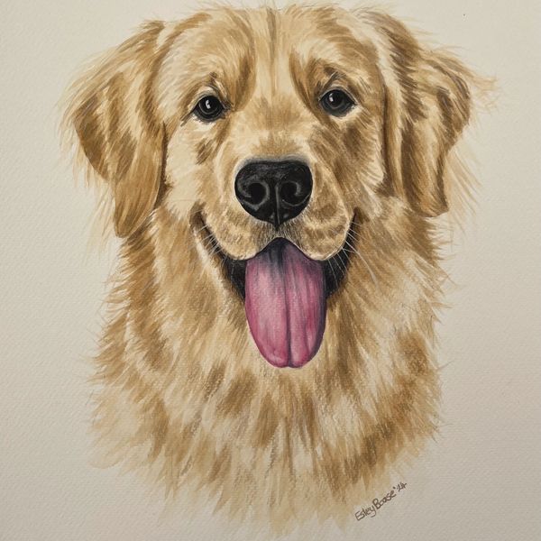 Golden retriever pet portrait watercolour commission