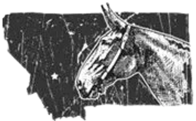 Montana Mule Days 