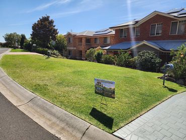expert lawn care service, Illawarra, Shellharbour, Albion Park, Shellcove, Warilla, barrack Heights