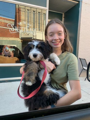 Bernedoodle in girls arms