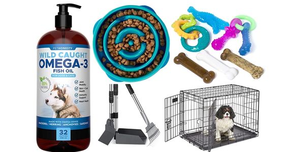 puppy supply recommendations