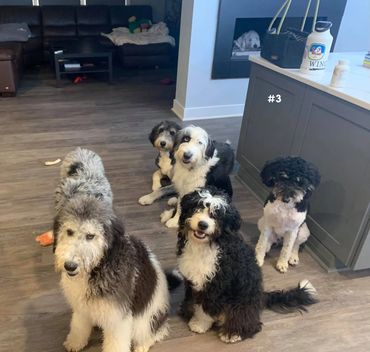 Where in the world is Earl? Can you find him?