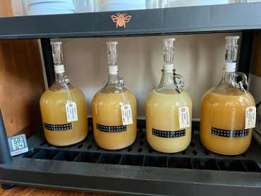 Some of our one gallon meads fermenting