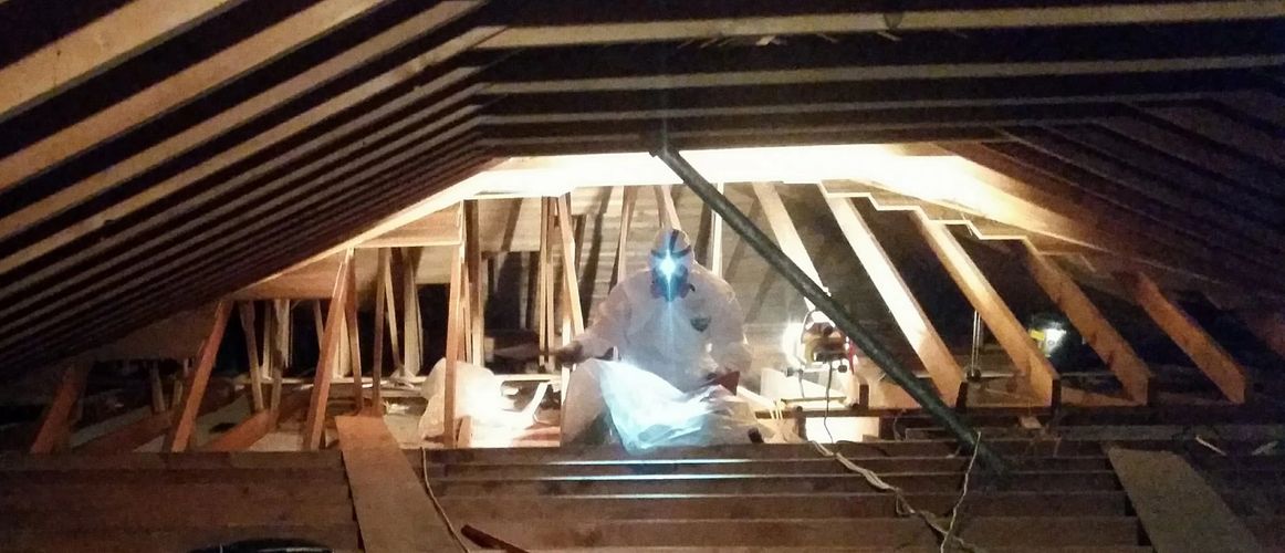 Asbestos Removal in Green Bay, Wisconsin From an Attic