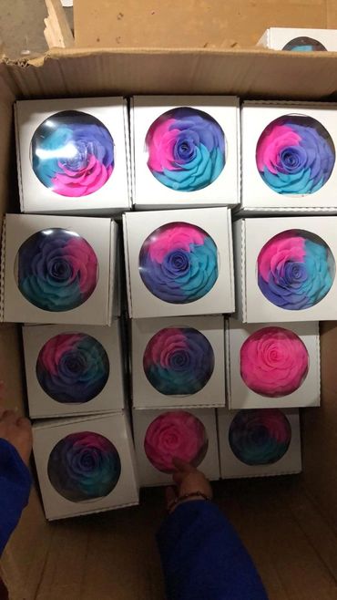 Buy three-color - Preserved Eternal Roses From Ecuador