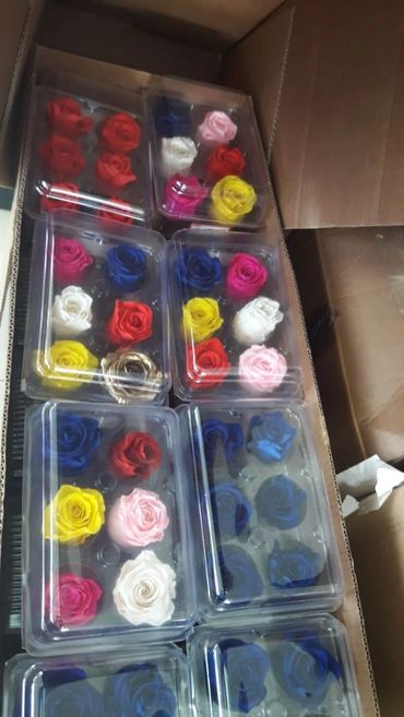 Wholesale from the farm - Preserved Eternal Roses From Ecuador.