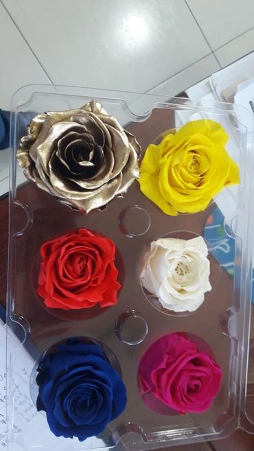 Buy Preserved Eternal Roses From Ecuador.
