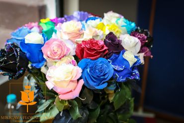 Special colors roses Ecuador