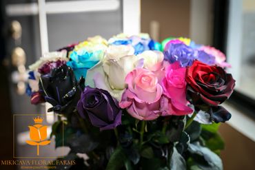 The best tinted roses Ecuador