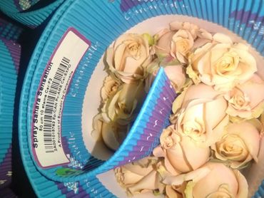 Spray roses Sahara Sensation