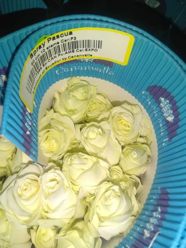 Spray Roses Ecuador Pascua