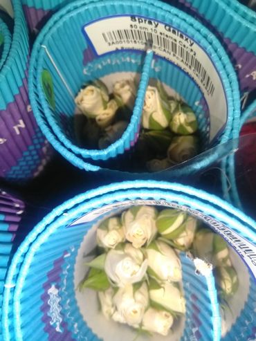 Spray roses Ecuador Galaxy