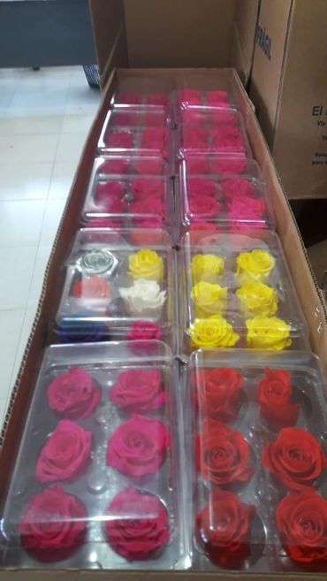 Buy Preserved Eternal Roses From Ecuador