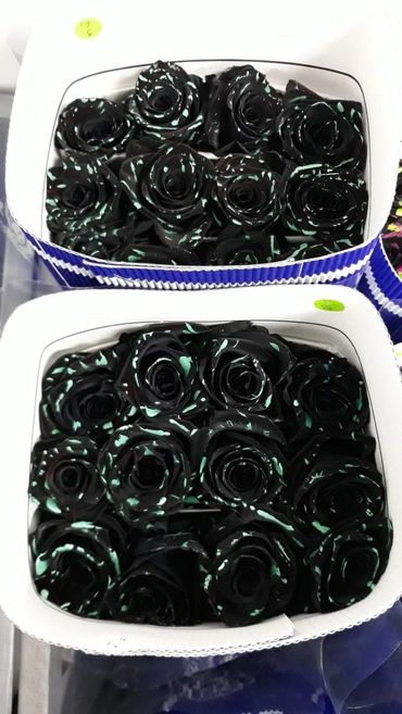 Buy Black Tinted Roses from Ecuador.