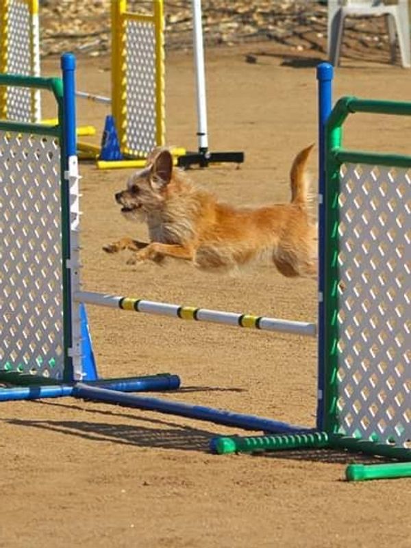 Silly displays her confidence with getting big air!