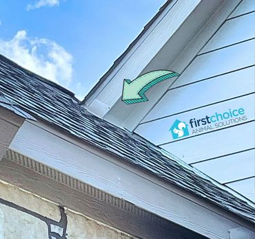 Exclusion seal up protection for
Rats squirrels racoons and wildlife