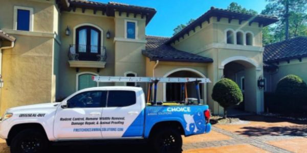 Houston Rodent removal