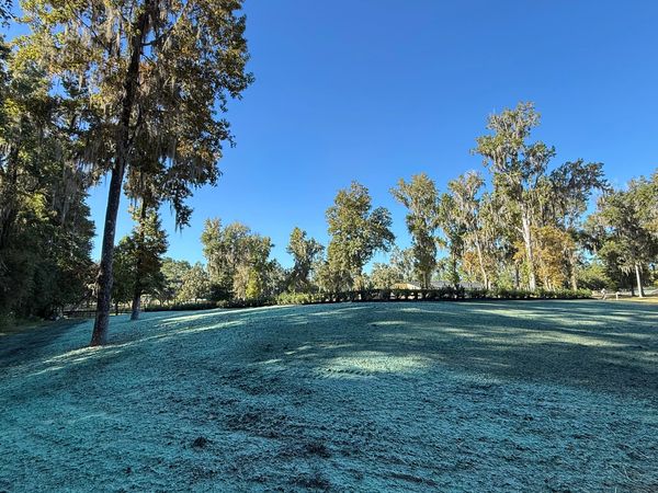 A fresh spray at one of our customer’s residential properties