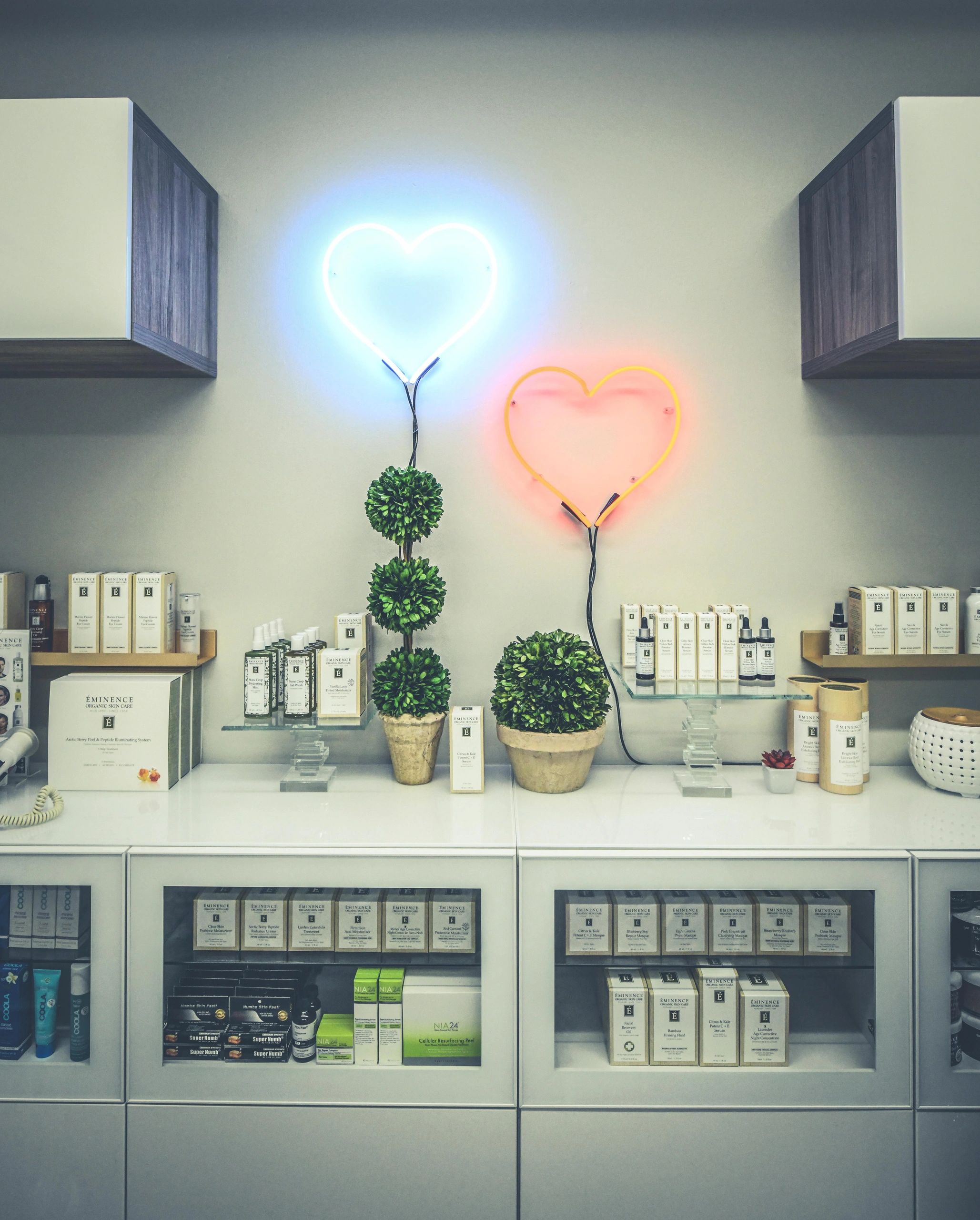 Electrolysis, Facials, Peels, Permanent Hair Removal, Organic Facials