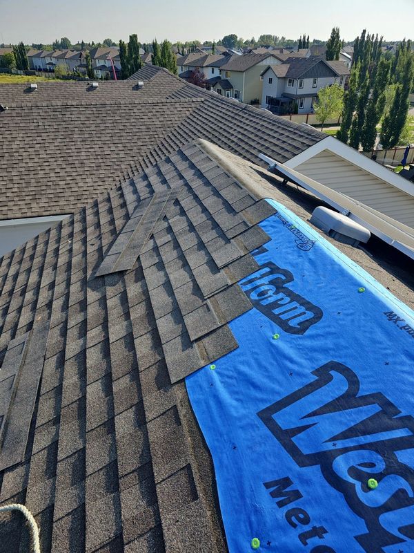 Midway through shingle installation during roof repair in Edmonton and Leduc