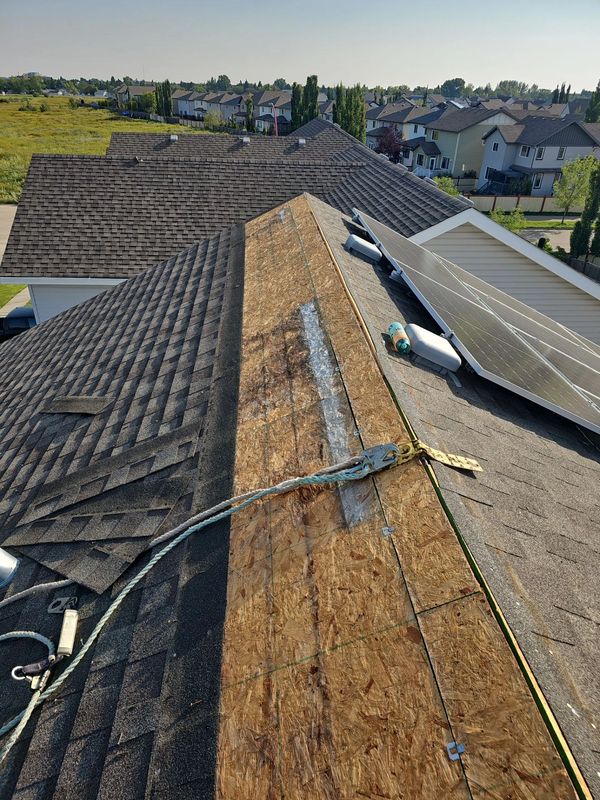 Shingles removed exposing stained but solid roof deck during Leduc roof repair