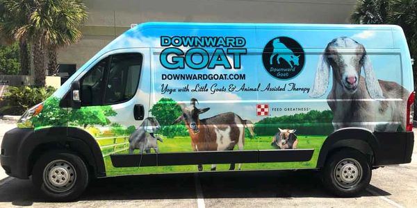 Van Wrap Bus Wrap Color Change Car Wraps Graphics Miami Fort Lauderdale