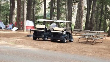 Two golf carts parked near picnic tables and tents in a forest campground.