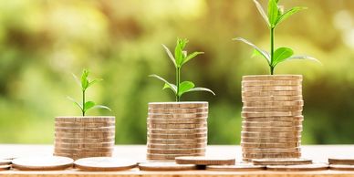 Wealth Management and Asset Allocation