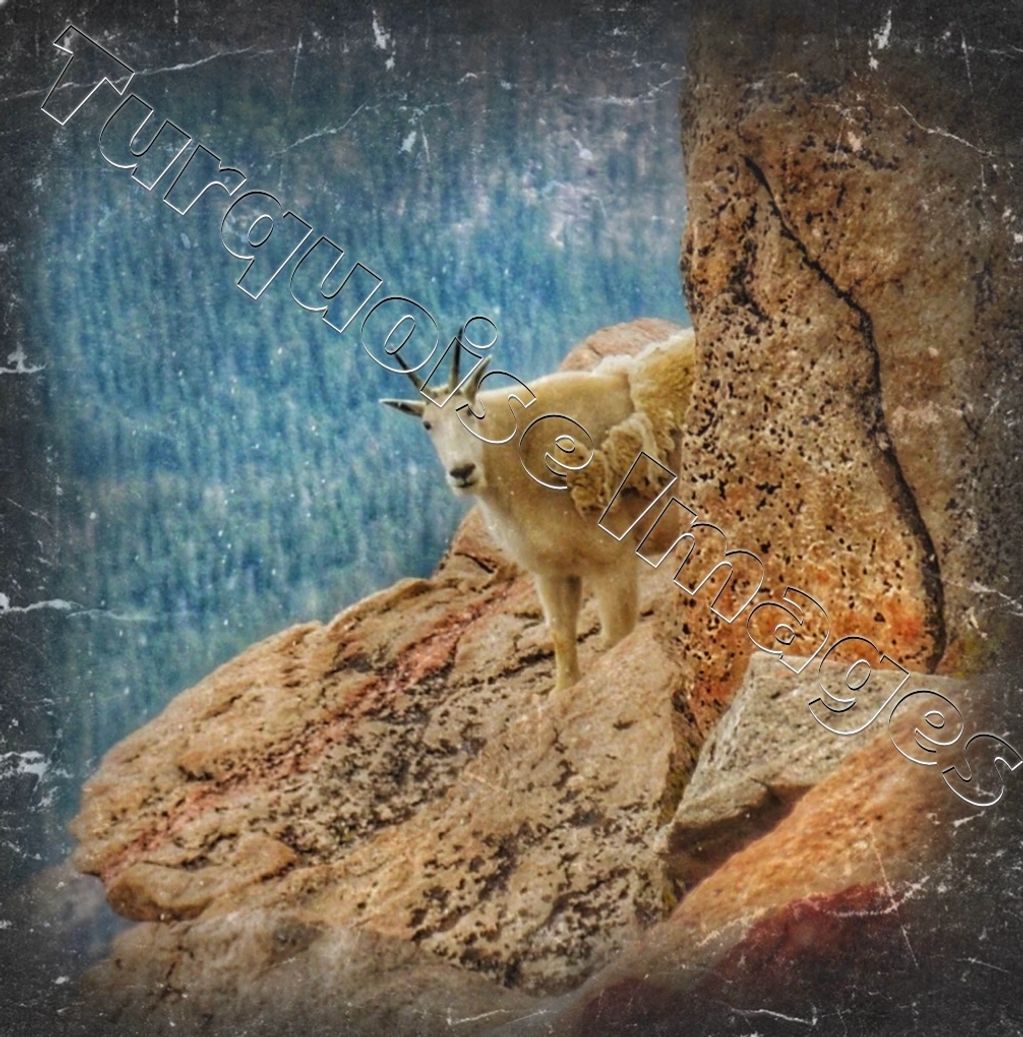 WTF You Doin' Up Here?