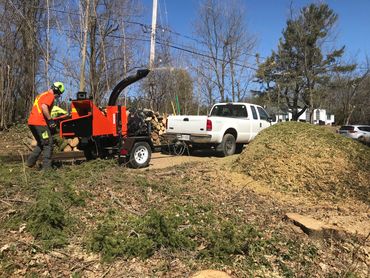 The customer was keeping the organic mulch from our wood chipper to use for pathways and gardens.
In