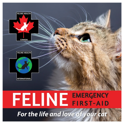 Feline Emergency First-Aid for cats, featuring health logos and a close-up of a cat's face.