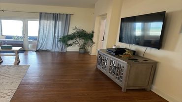 Living room with wooden floor, TV on wall, and a potted plant near window with blue curtains.