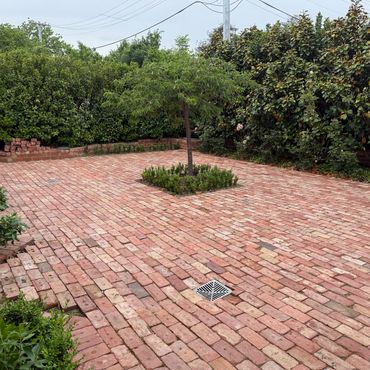 Clean and tidy garden