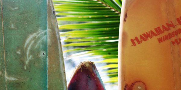 Surfing boards with palm leaves, Maui, Hawaii