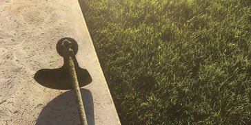 A string trimmer lies on a concrete surface next to a grassy lawn.