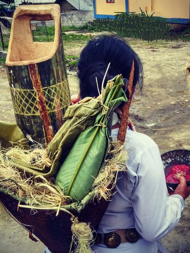 Mopin Festival of the Adi Gallong tribe in Aalo, Arunachal Pradesh