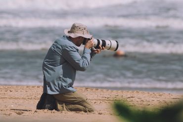 Birds photography at the beach of Phan Thiet