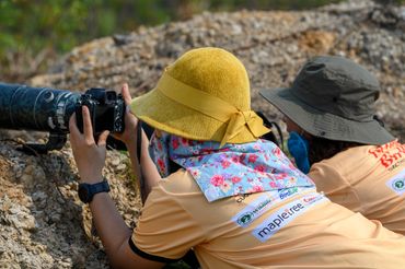 Bird photography tour in Mekong delta