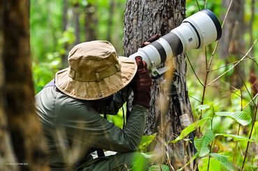 Yok Don Bird Photo Tour 2025