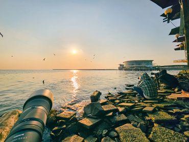 Bird photo tour Rach Gia