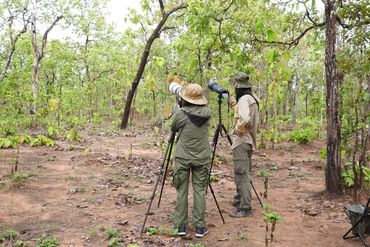 Yok Don Bird Photo Tour 2025