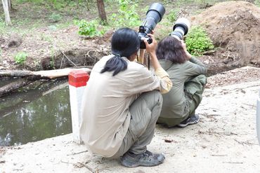Yok Don Bird Photo Tour 2025