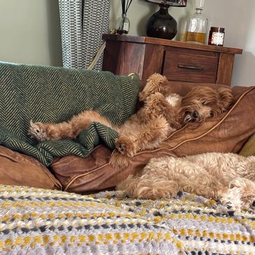 Heidi typically lounging at home