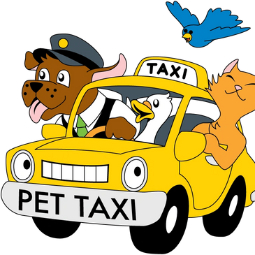 Pet Taxi Services to/from local vet office. In home doggie day care and other services are available