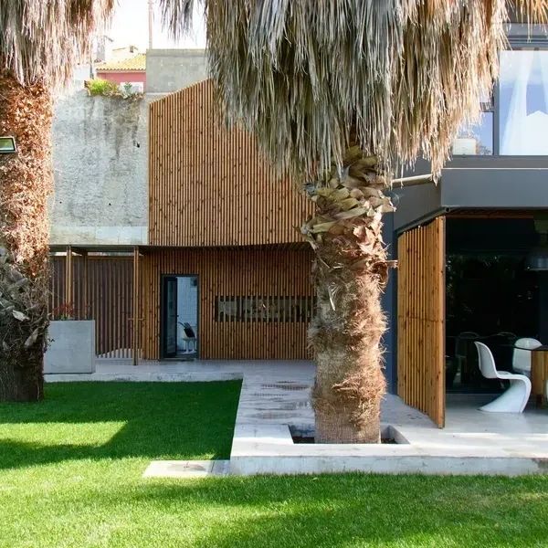 Modern house with wooden facade and palm trees in a green yard.