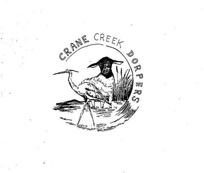 Crane Creek Dorpers and White Dorpers