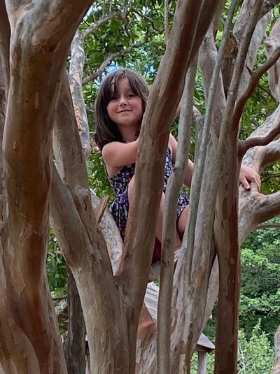 A young girl smiling while climbing a tree with green foliage around.