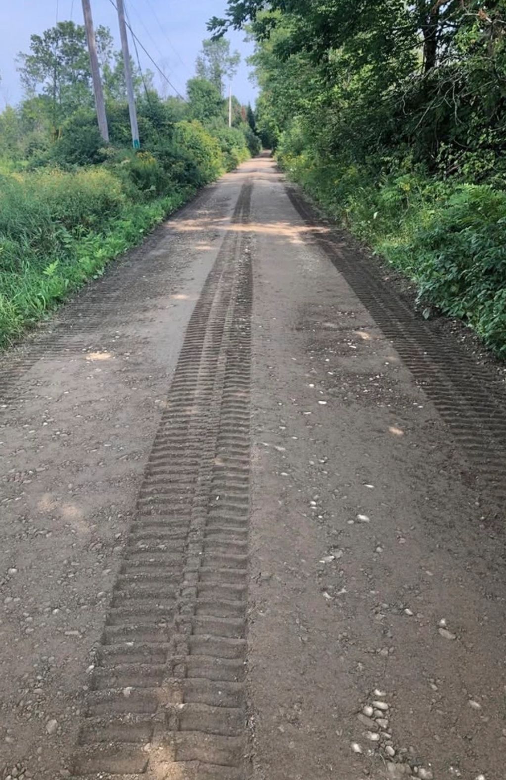 Dirt road with fresh tire tracks surrounded by green foliage.