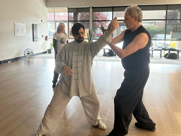Father Son teaching duo Eric M Emert and Eric Tex Emert demonstrating Wu Tai Chi push hands