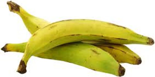 African Plantain used for aloco, fufu and foutou